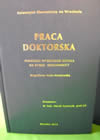 praca doktorska uniwersytet